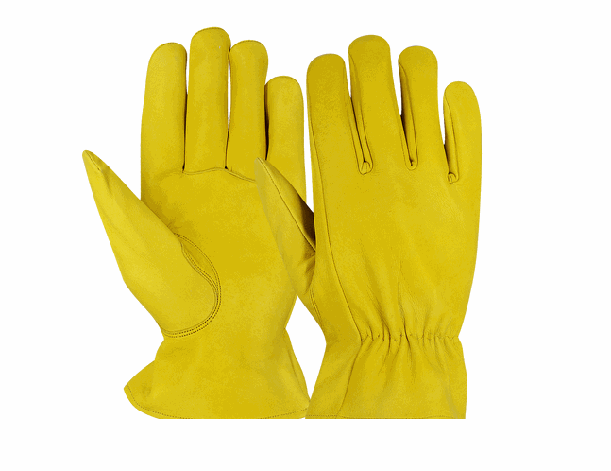 Gold Driver Gloves