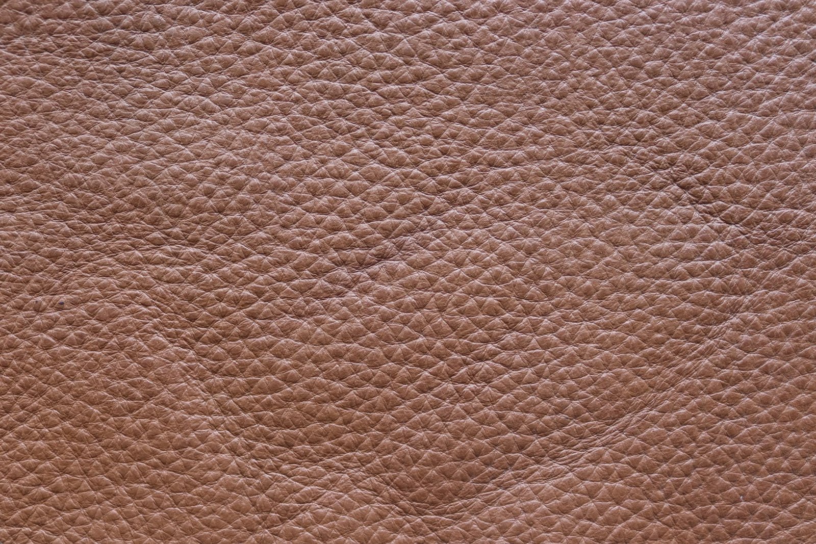 Cow Brown B-Grade